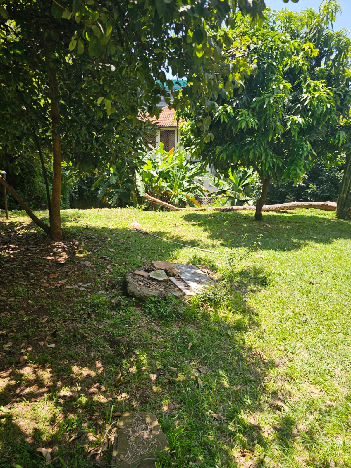 0.5 acre Along Riara Road