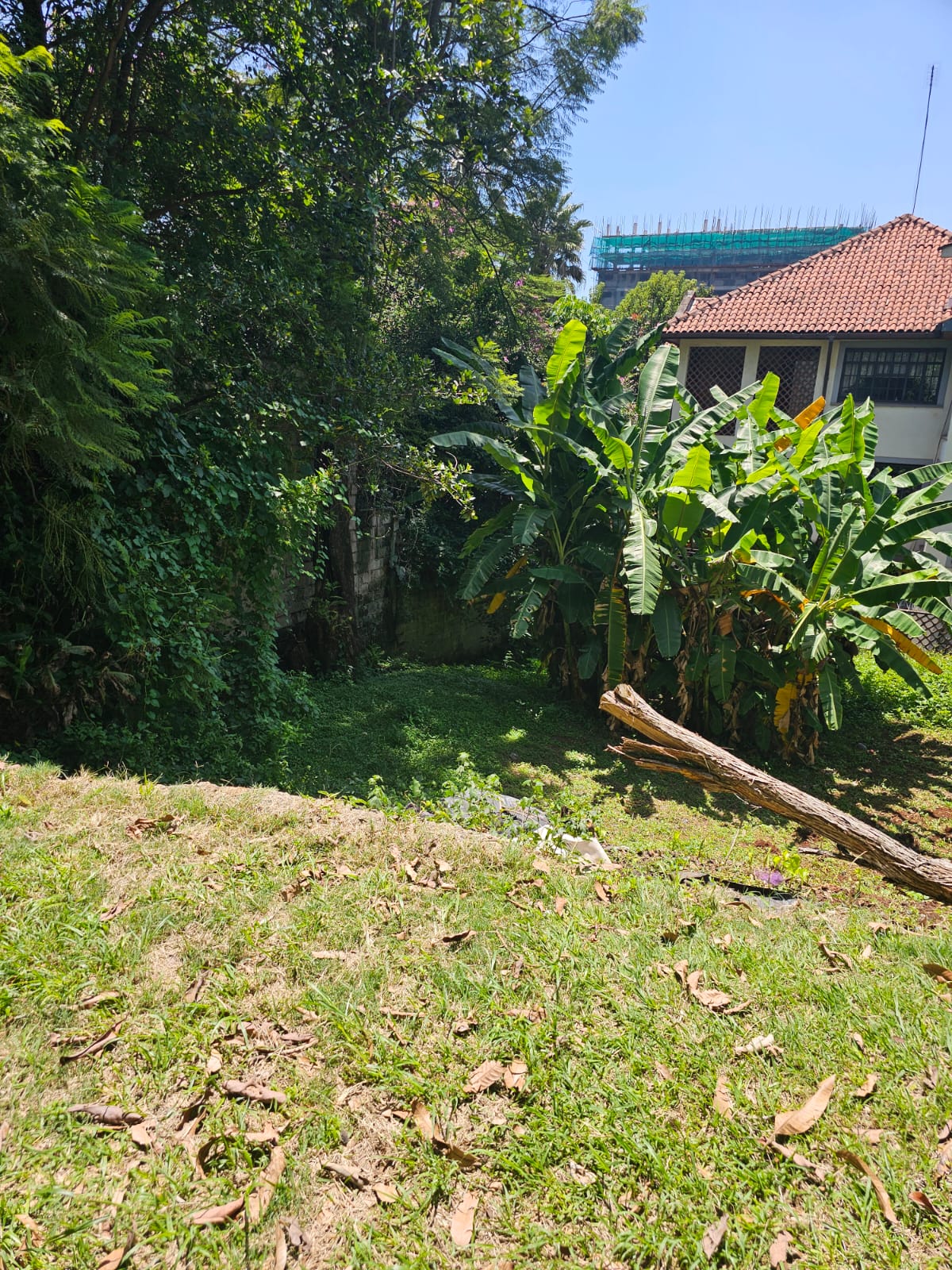 0.5 acre Along Riara Road