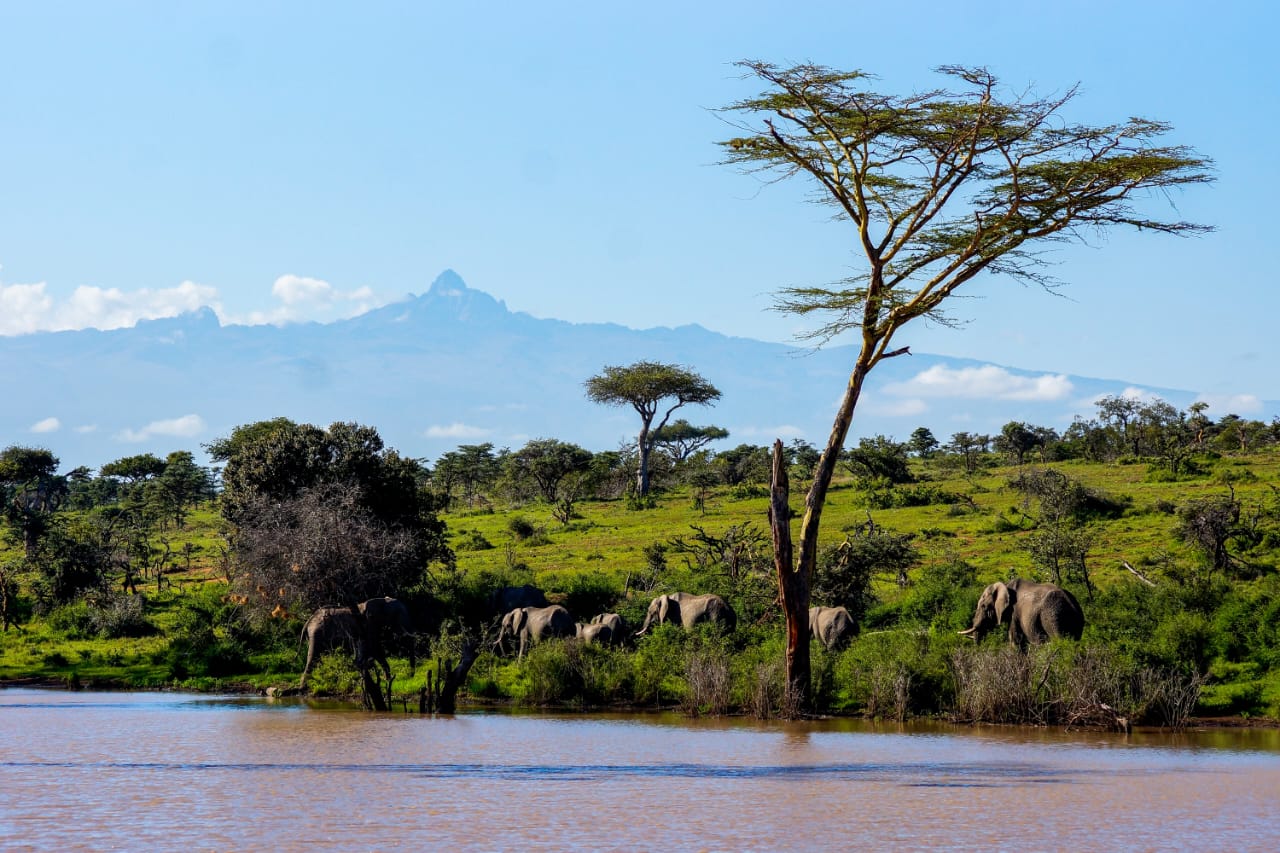 AirBnB Chrystal Milimani Nanyuki