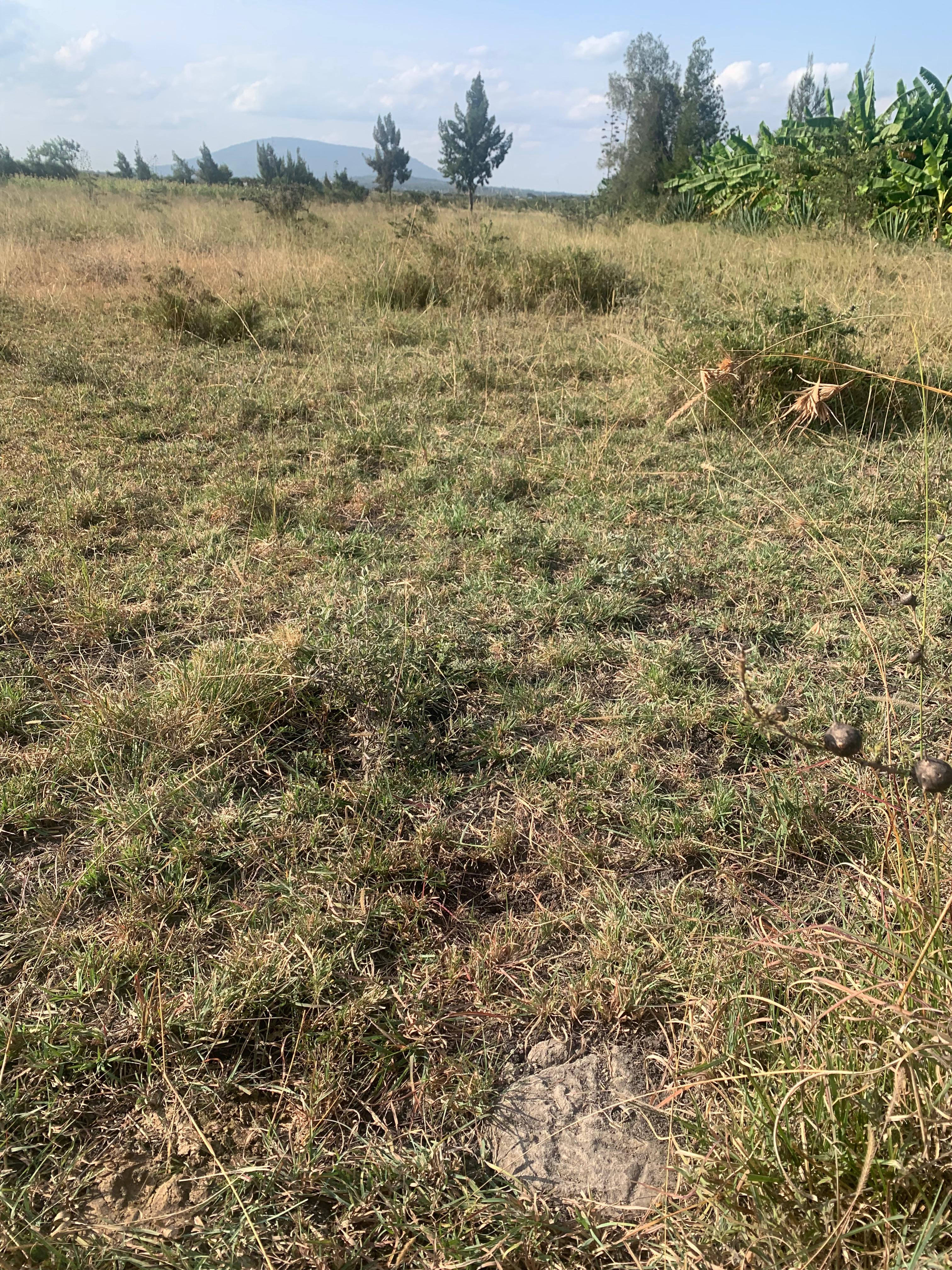 0.5 Acre Komahill