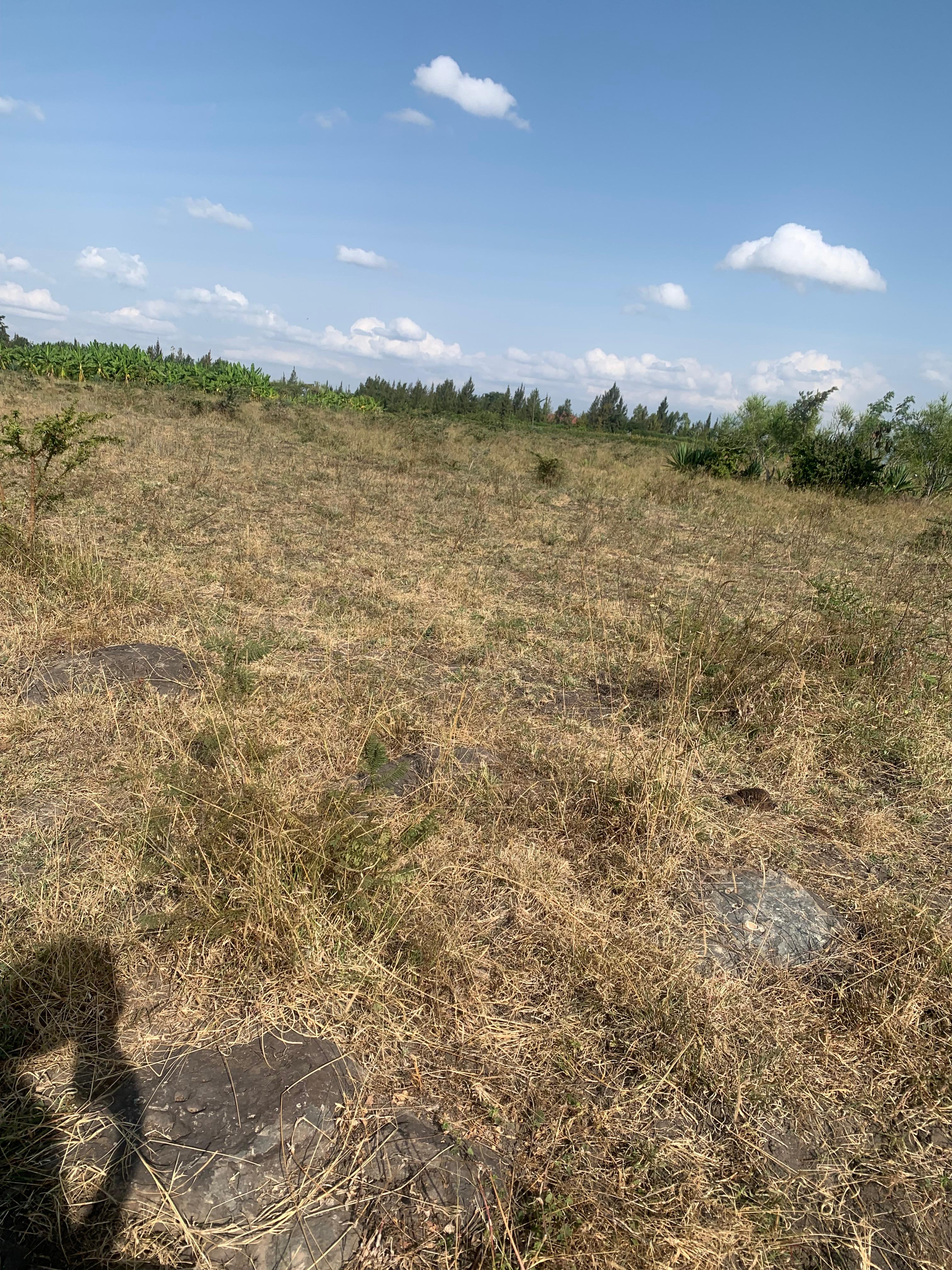 0.5 Acre Komahill